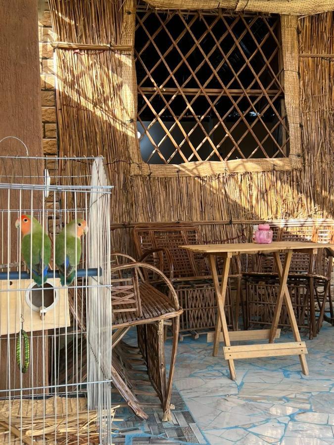 Готель Oasis Camp Bawiti Екстер'єр фото
